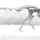 Illustration for article titled Leave Our Awesome Dinosaur Stampedes Alone